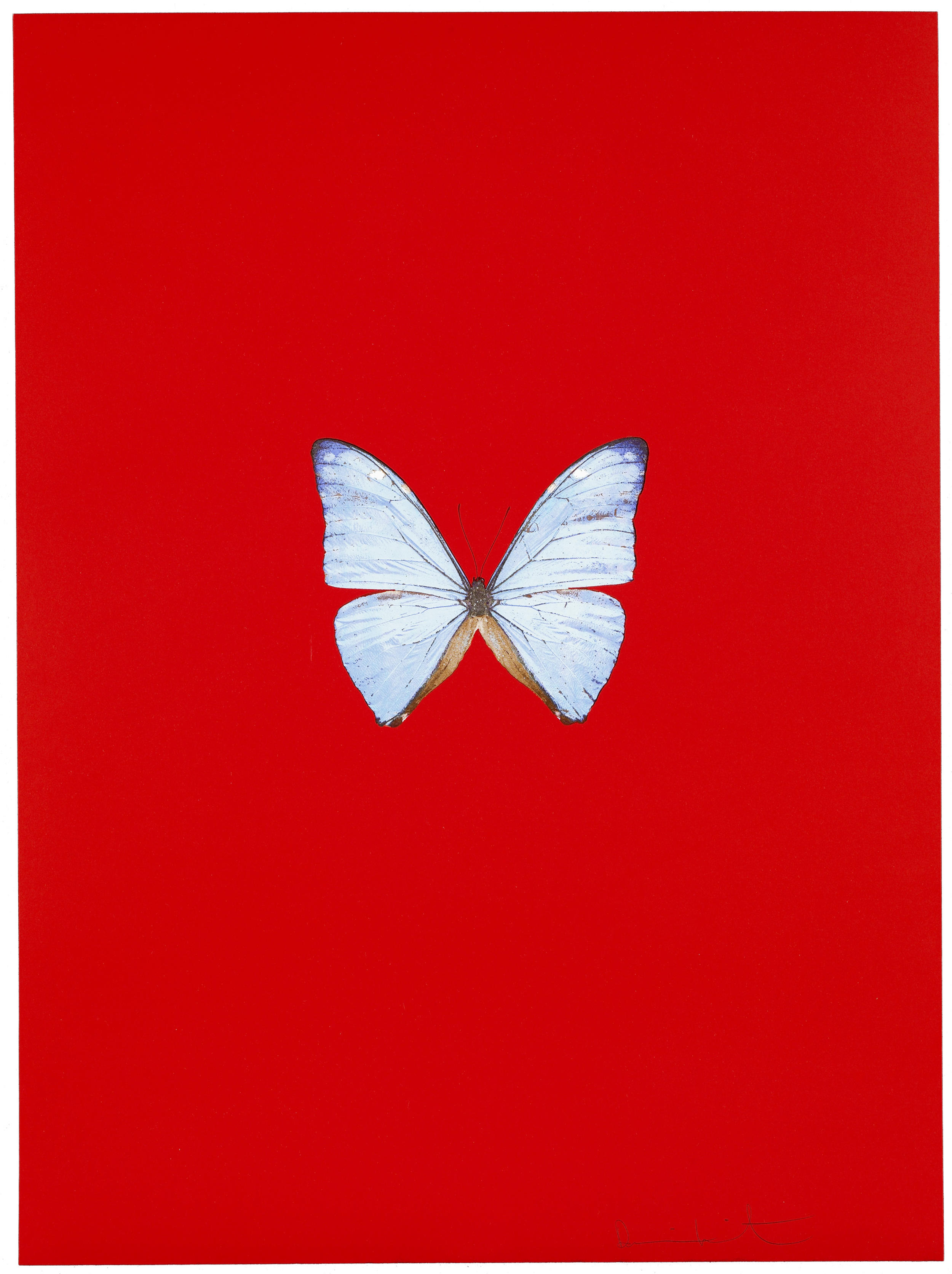 New Beginnings by Damien Hirst - Paragon